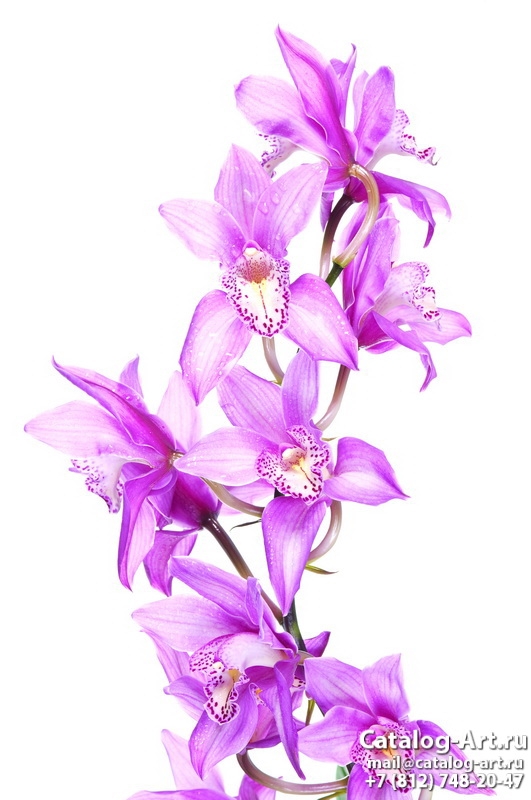Натяжные потолки с фотопечатью - Розовые орхидеи 48